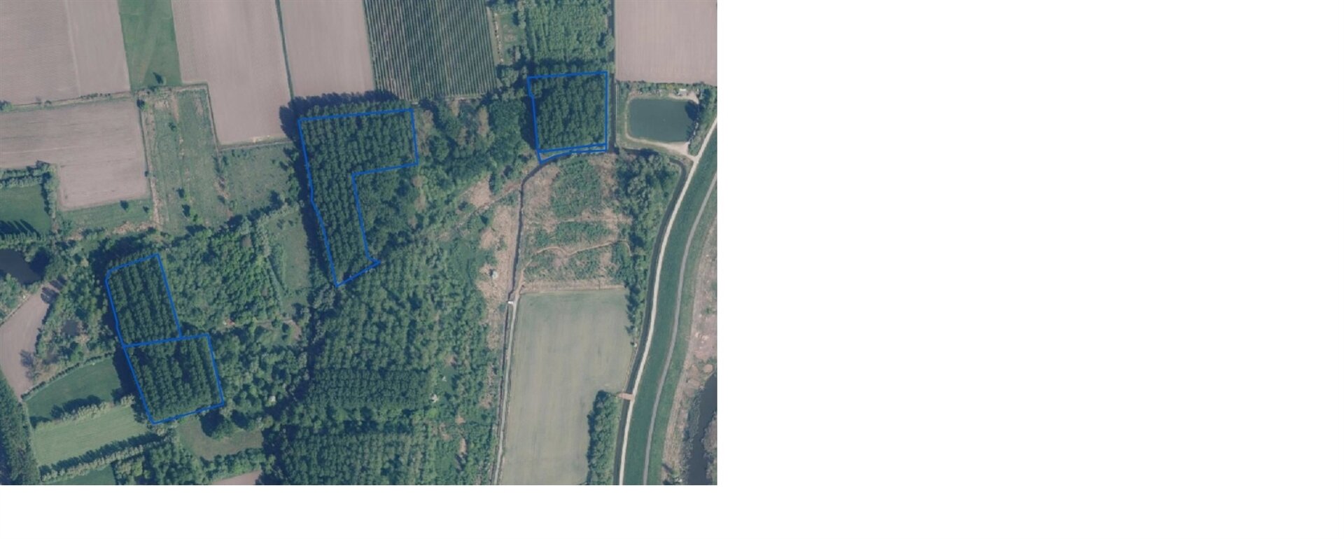 Bois à vendre à HAMME