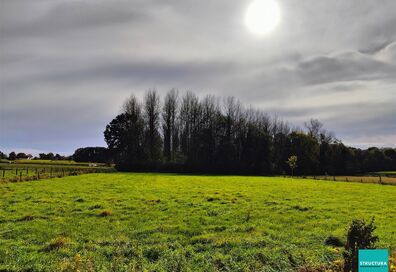 Bois à vendre à OPWIJK