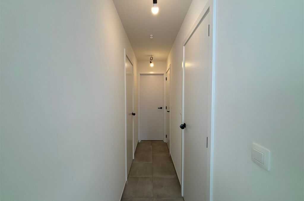 Appartement &agrave; louer &agrave; ASSE