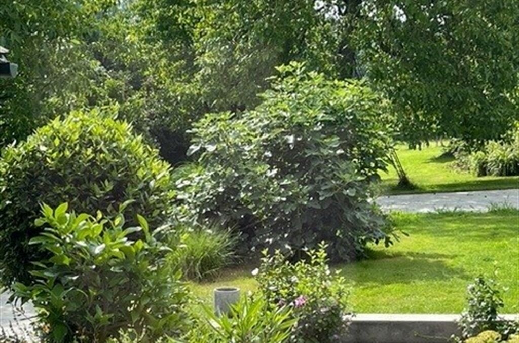 Appartement à vendre à WEMMEL