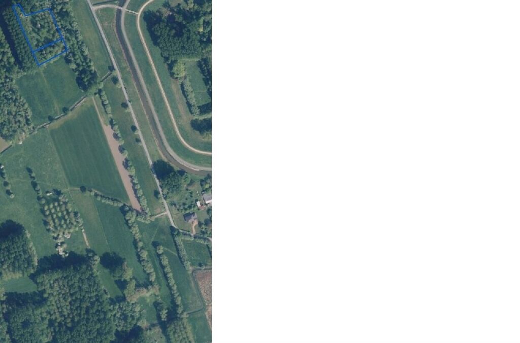 Bois &agrave; vendre &agrave; DENDERMONDE