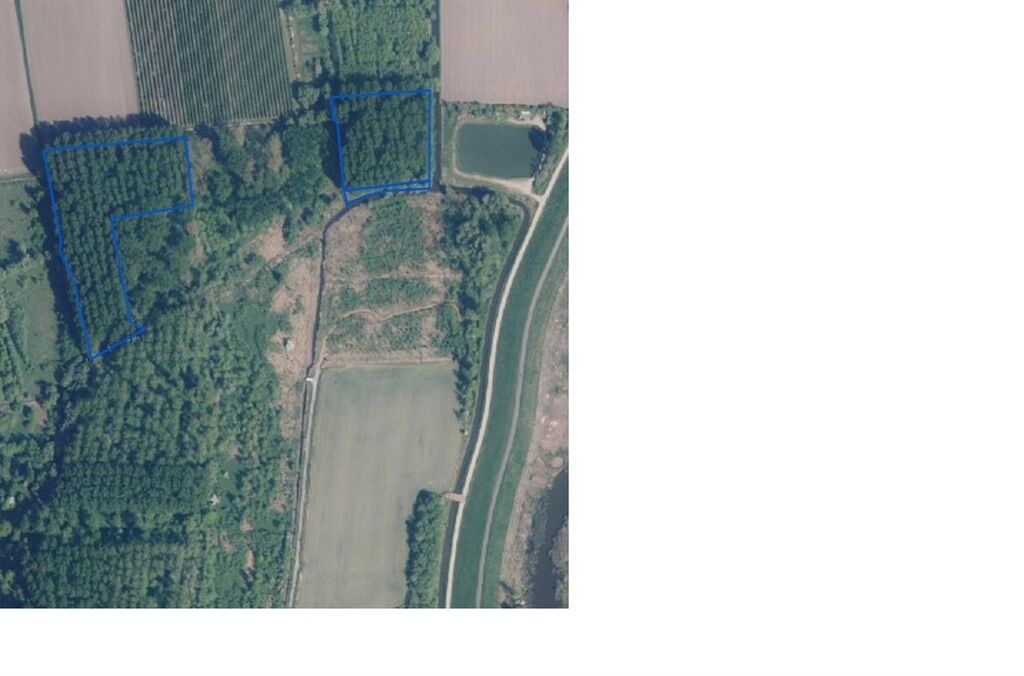 Bos te koop in HAMME