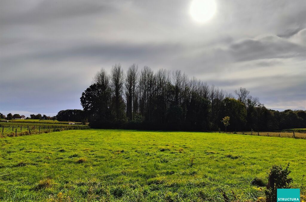 Bos te koop in OPWIJK