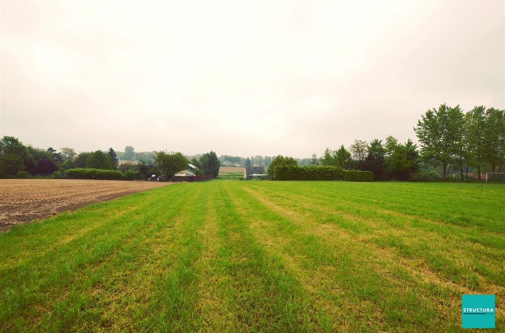 Bouwgrond te koop in ASSE
