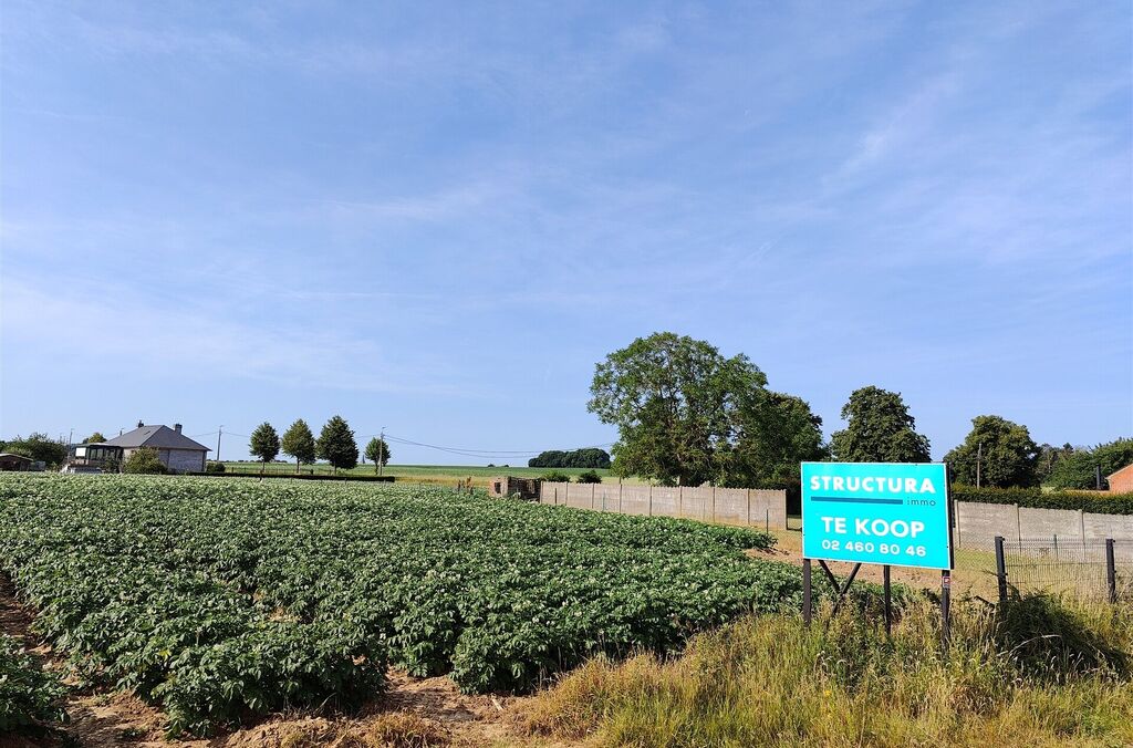 Bouwgrond te koop in BRUSSEGEM