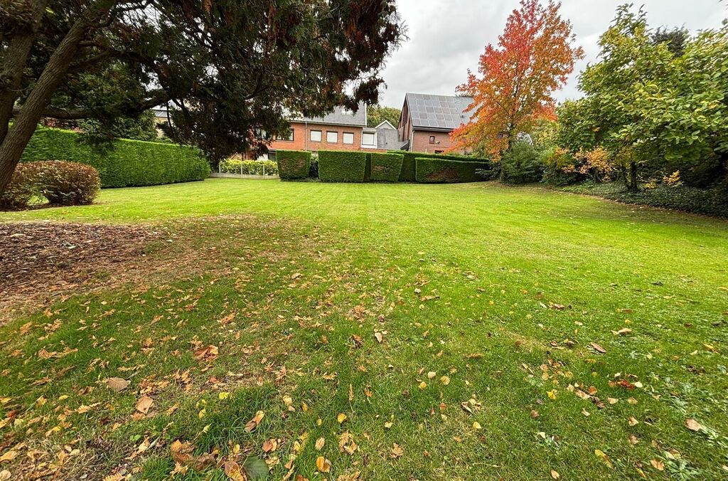 Commerce-Bureaux-Rapport à louer à WEMMEL