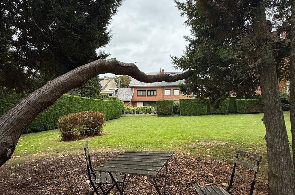 Handel-kantoor-opbrengst te huur in WEMMEL