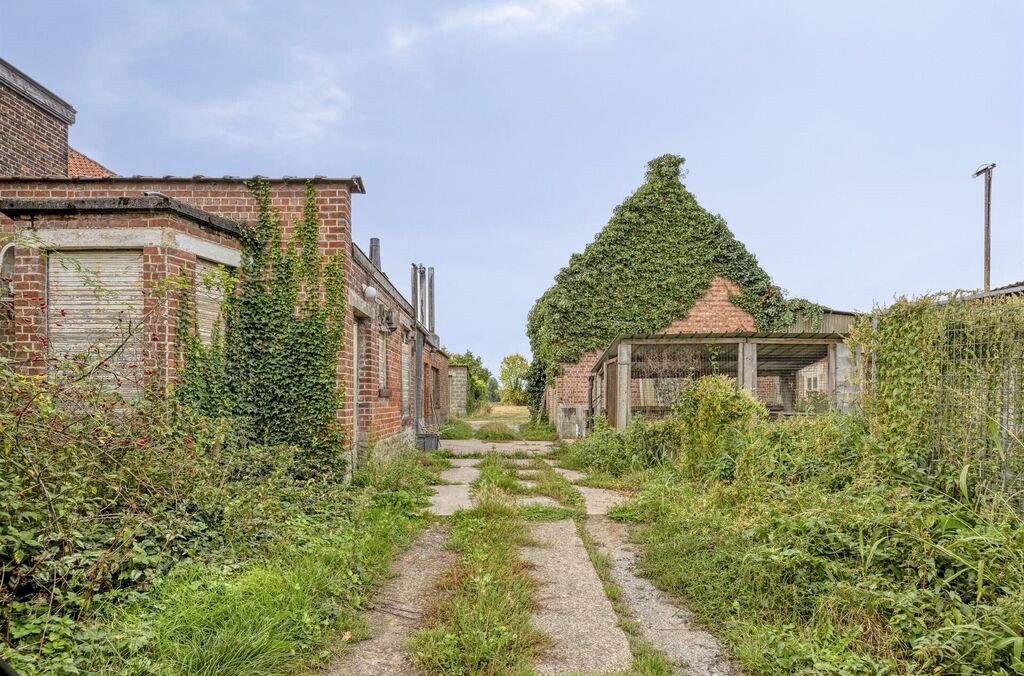 Hoeve te koop in EPPEGEM