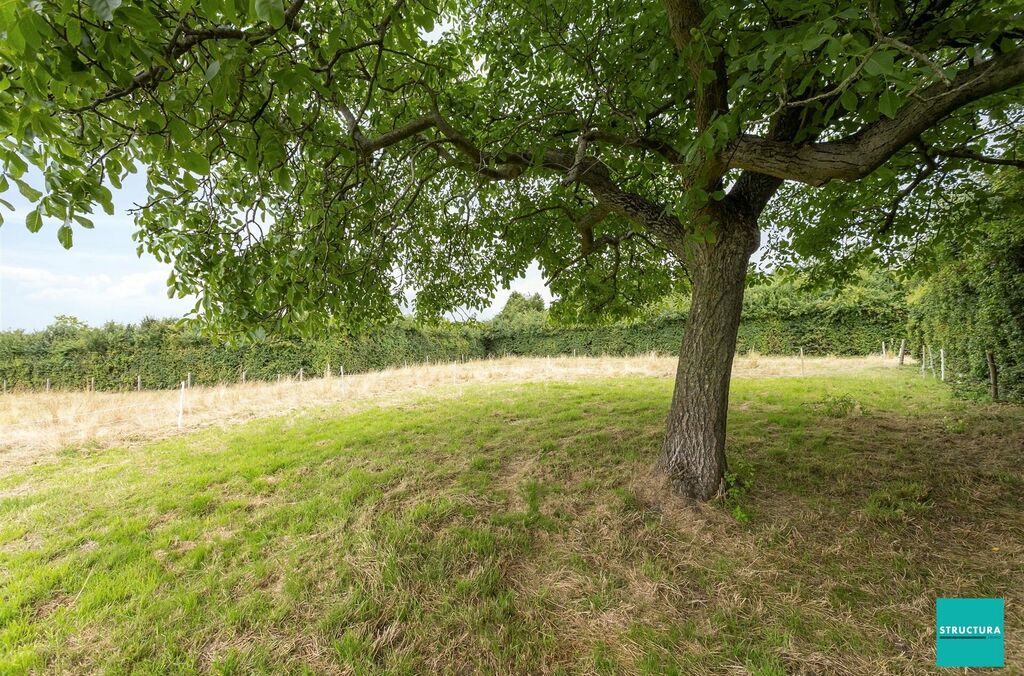 Hoeve te koop in WEMMEL