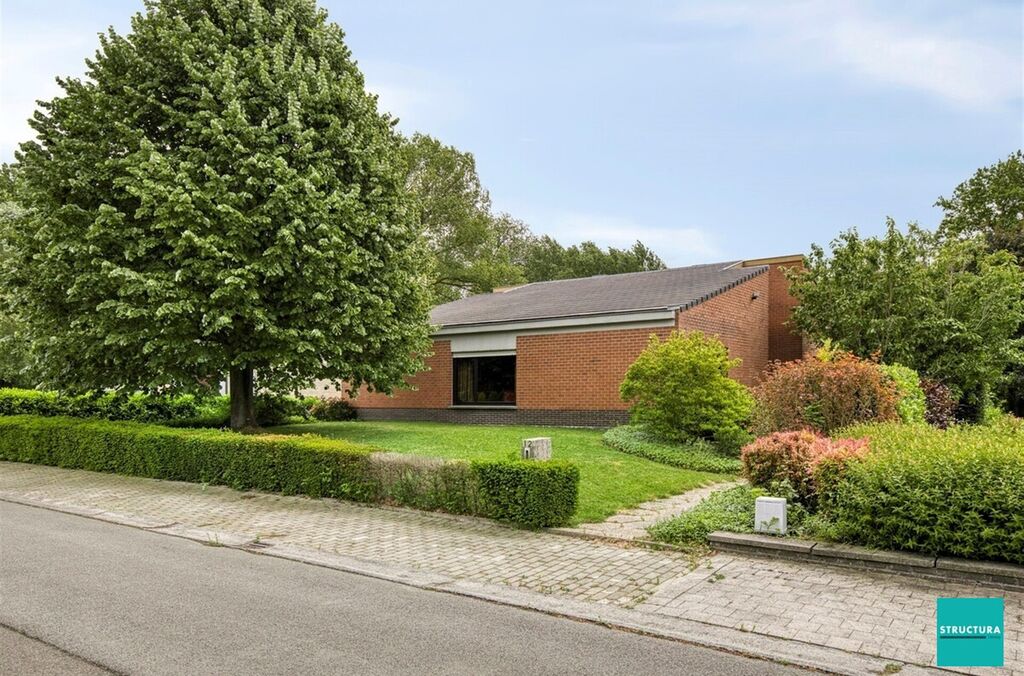 Maison à vendre à AFFLIGEM